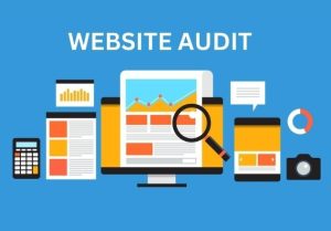 website-audit